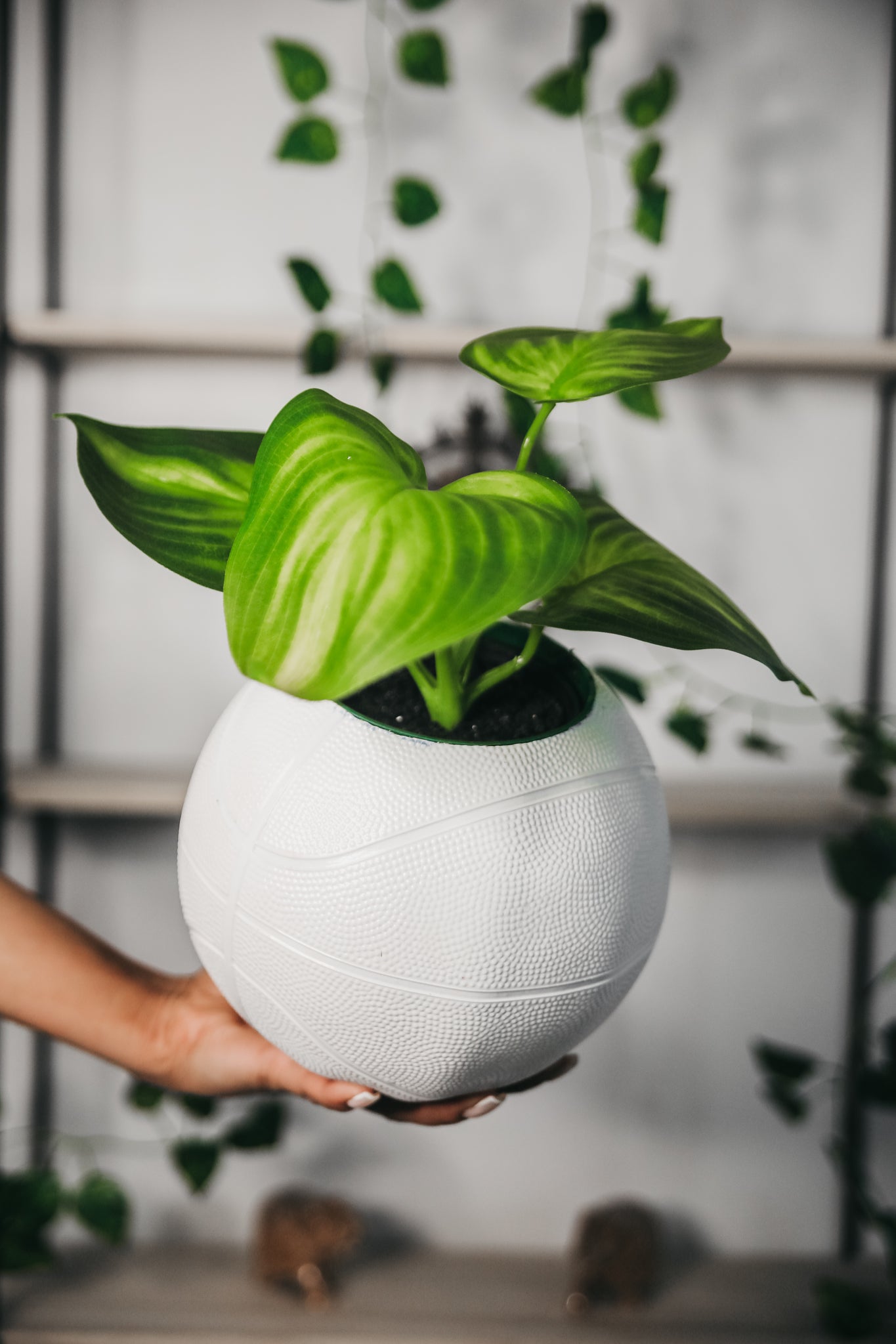 The Mini Basketball Planter