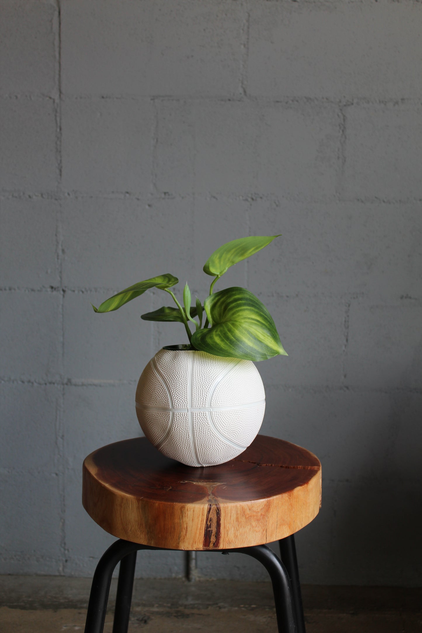 The Mini Basketball Planter